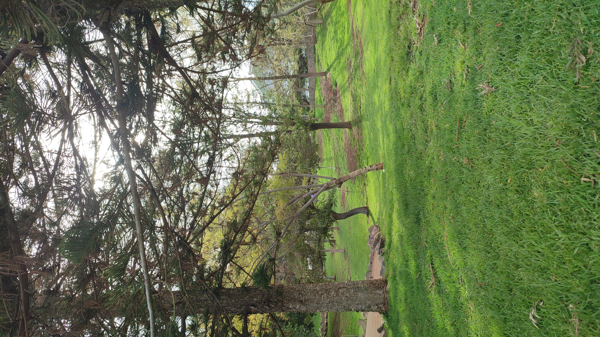 Parque 1