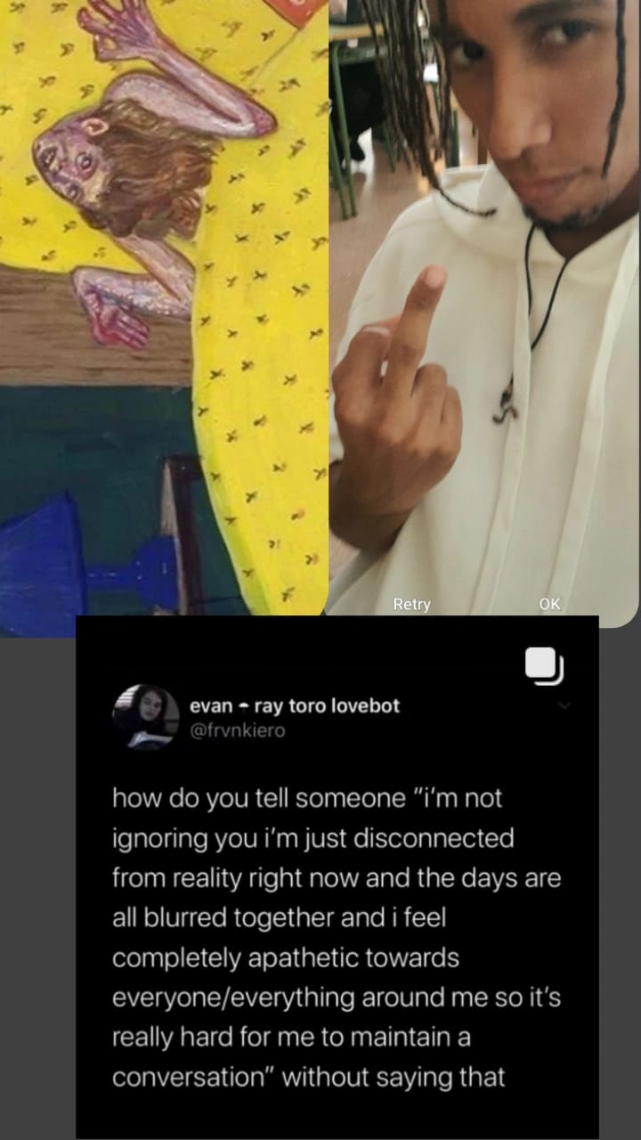 La cámara según User Nº 13