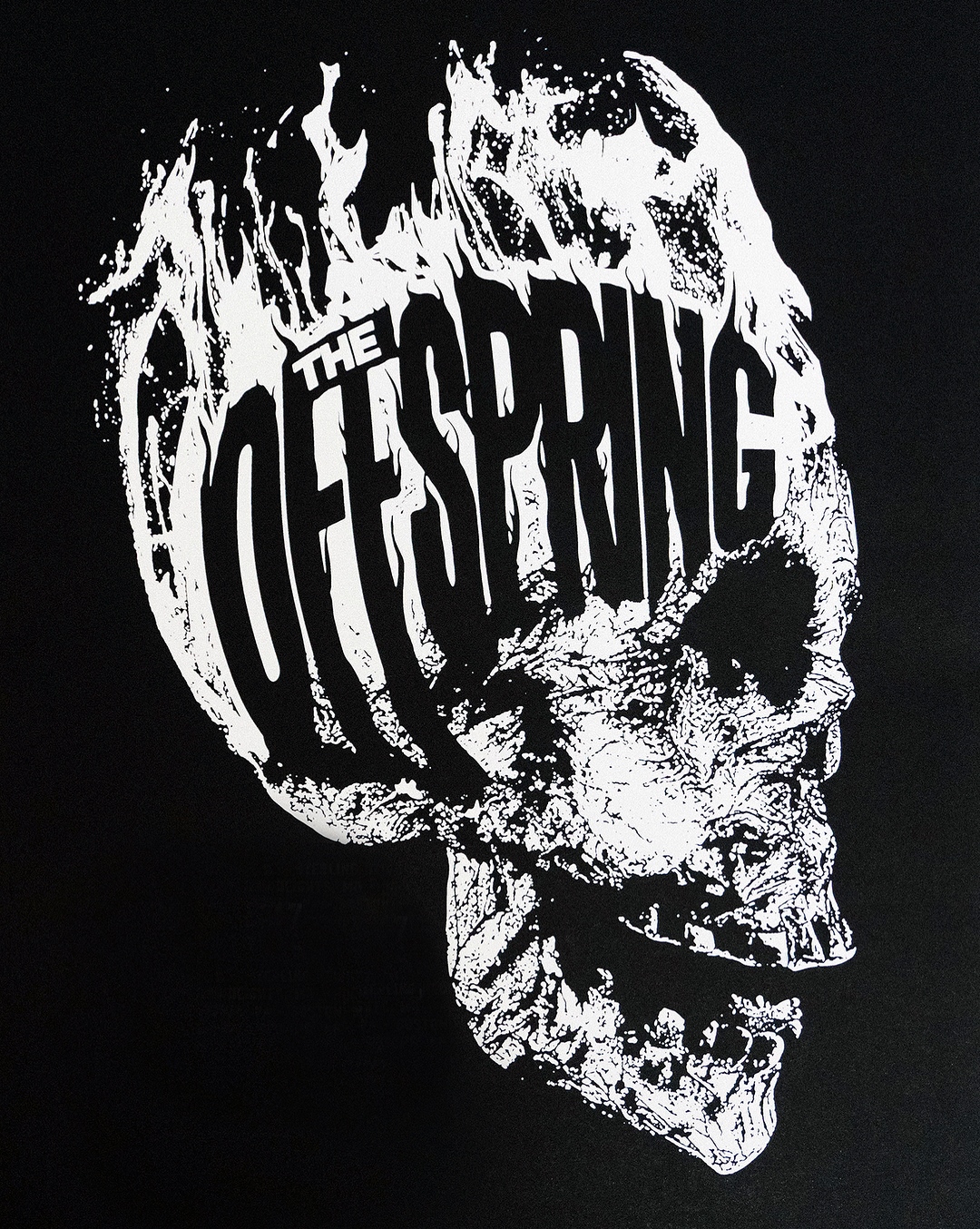 The Offspring Photo